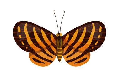 Colorful butterfly, winged insect.Vector graphics.
