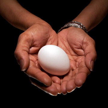 Close-up of Woman's Hands holding Egg, Studio Shot