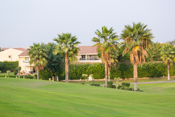 Beautiful view of the green lawn in Sheikh Zayed, Egypt