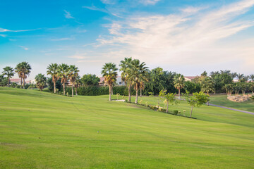 Beautiful view of the green lawn in Sheikh Zayed, Egypt