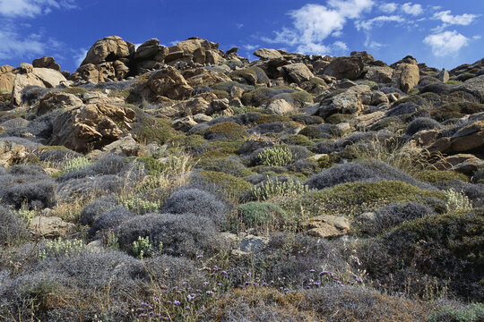 Rocky Landscape, Mykonos, Greece