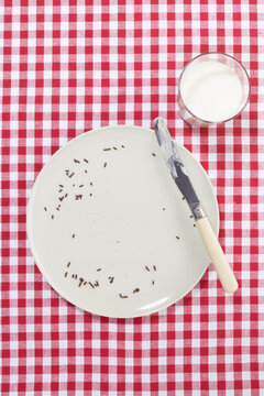 Empty Plate with Knife and Glass of Milk