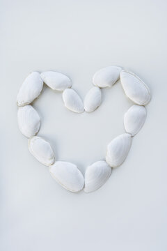 Seashells in the Shape of a Heart