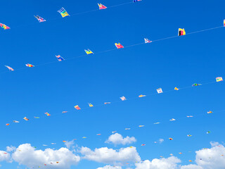 청명한 파란하늘에 펄럭이는 만국기
