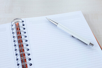 Appointment Book and Pen