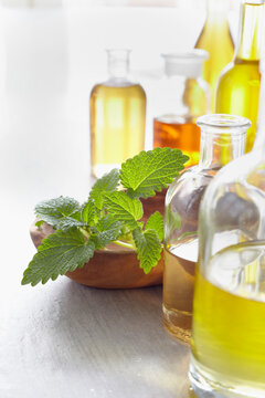 Sprig of lemon balm in a bowl, herbs and bottles of essential oil