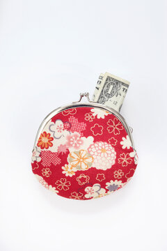 Close-up of Floral Patterned Change Purse with American Dollar Bill Sticking Out, Studio Shot on White Background