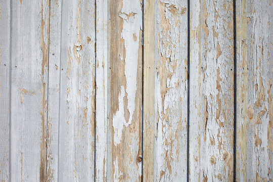 Peeling Paint on Wooden Wall, Arcachon, France