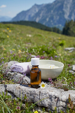Homeopathic Medicine and Chamomile, Strobl, Salzburger Land, Austria