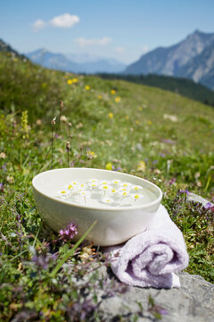Bowl with Water and Chamomile, Strobl, Salzburger Land, Austria