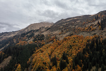 Fototapeta na wymiar Herbstfärbung