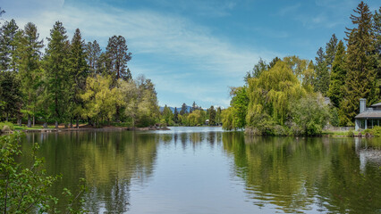 Obraz premium lake in the park