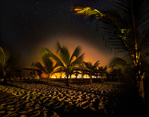 Under Stars and Palm Trees