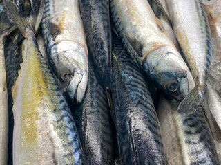 Obraz premium Close-up view of fresh marckerel fish, fresh water sardine fish, fish at Chinese market