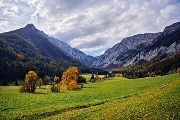 Obraz na płótnie Canvas landschaft, berg, alpen, sommer, -täler, hills, baum, anreisen,