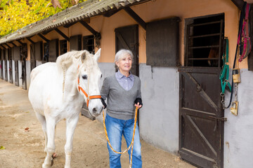 Skilled aged farmer woman leading white horse outdoors along stables in farm, holding by reins. Successful horse breeding concept