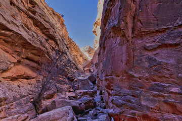 Horseshoe Canyon-Canyonlands National Park
