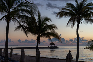 silhouette de palmiers et de structure d'un toit en paille au bord de la mer lors d'un lever de...