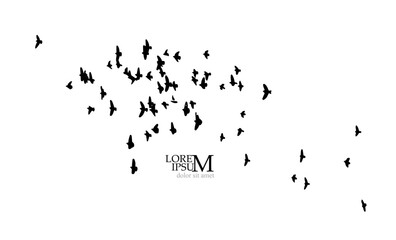 A flock of flying birds. Free birds. Vector illustration