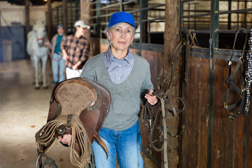 Smiling experienced older female stable keeper carrying horse saddle and harness for horseback...