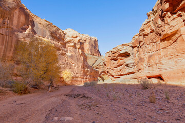 Fototapeta premium Horseshoe Canyon-Canyonlands National Park