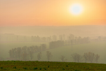 Beautiful morning dawn with fog in the field - 555759780