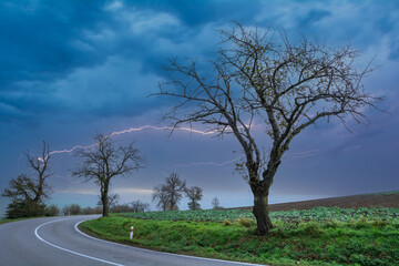 Landscape with lightning, tree, field, road. Picturesque background. - 555759782