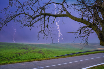 Landscape with lightning, tree, field, road. Picturesque background. - 555759796