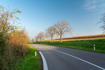 Empty road in the countryside. dry asphalt. Good weather. - 555759909