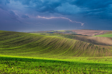 Landscape nature with lightning and green grass - 555759924