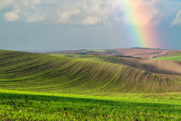 Bright picturesque landscape with a rainbow and a green field - 555759928