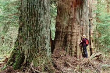 Woman Standing by Tree