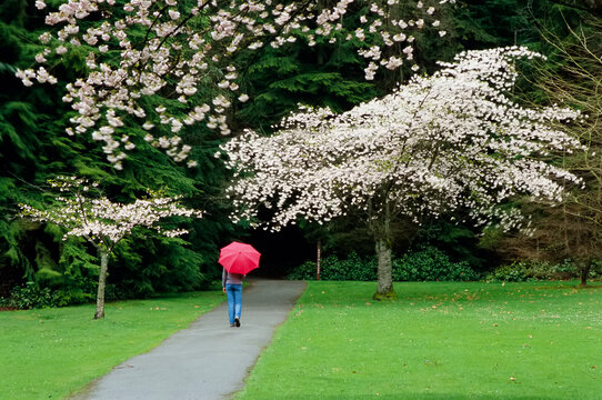 Woman in Stanley Park, Vancouver, British Columbia, Canada