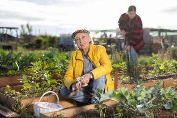 Happy old woman in yellow zip jacket caring for vegetable and plant sprouts and holding basket of gardening tools during daytime in April