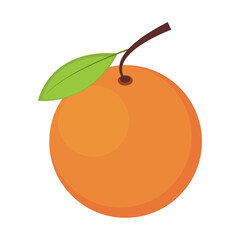 orange fruit icon
