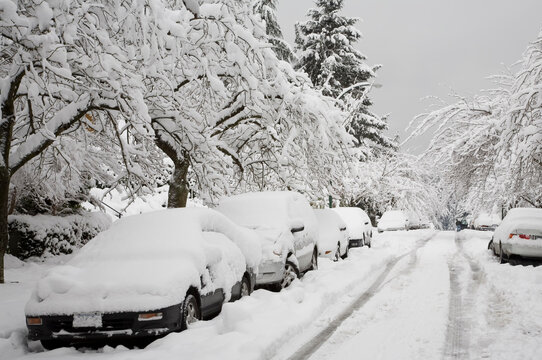 Street Scene, Point Grey, Vancouver, British Columbia, Canada