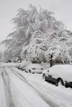 Street Scene, Point Grey, Vancouver, British Columbia, Canada