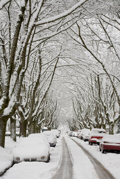 Street Scene, Point Grey, Vancouver, British Columbia, Canada