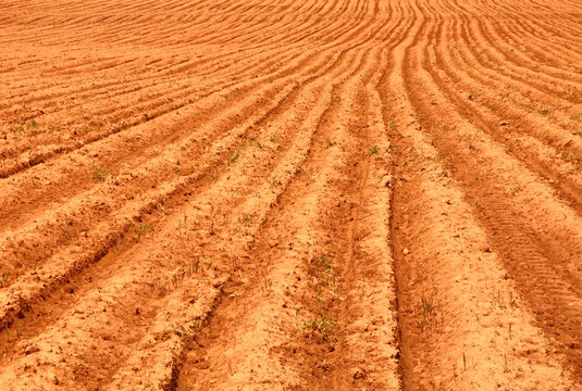 Plowed Field near Norboro, Prince Edward Island, Canada