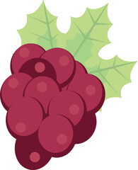 grapes fruit icon
