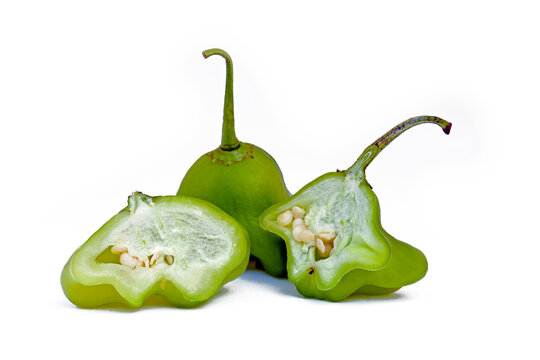 Crown of Bishop, or Pimenta Cambuci, isolated on white background