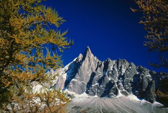 Larch Trees And The Dru in Autumn, French Alps