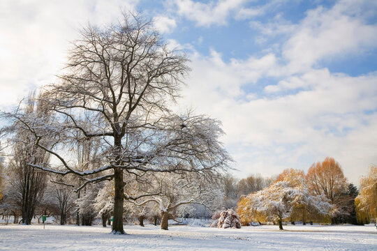 Jericho Beach Park, Vancouver, British Columbia, Canada