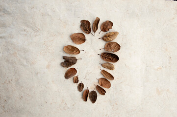 Still life Photography. Red rock river stone with fallen leaves on an organic natural background. 