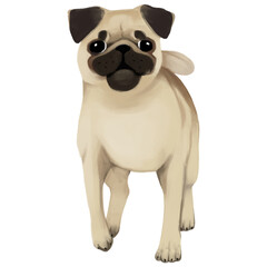 Illustrations of dogs. Full bodies and headshots.