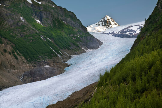 Bear Glacier, Coast Mountains, British Columbia, Canada