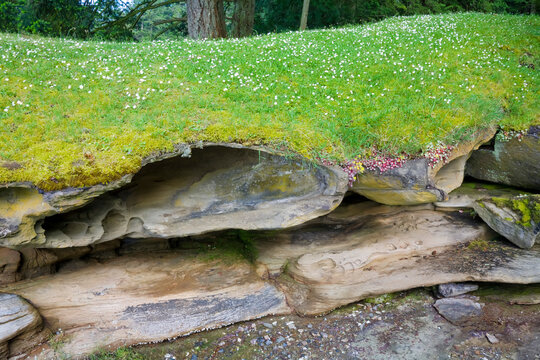 Sandstone Detail along Shore, Wakes Cove Provincial Park, Valdes Island, British Columbia, Canada