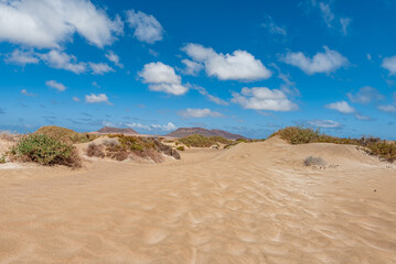 sand dunes in the desert