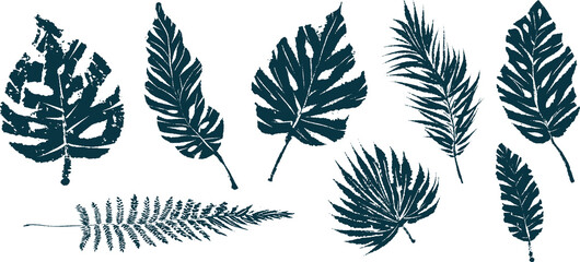Tropical leaves. Textured ink brush drawing