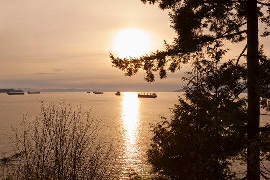 Freighters, Burrard Inlet, English Bay, Stanley Park, Vancouver, British Columbia, Canada
